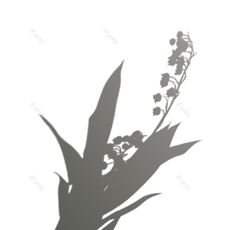 叶子图片,阴影元素,灰色PNG,阳光免抠素材